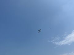 -空港花田景区