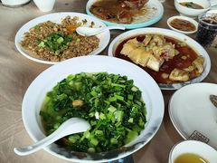 -鲤鱼塘农家山庄