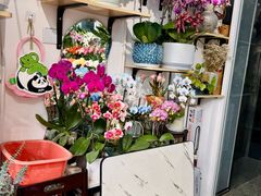 -FEI FEI FLOWER鲜花店·气球派对·宝宝宴布置(虹口德必运动Loft店)