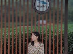 -午潮山国家森林公园