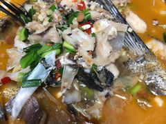 -全乐鱼馆·淳牌有机鱼直营店