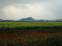 -光明小镇欢乐田园