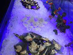 -巴犀烧烤(新崇光店)