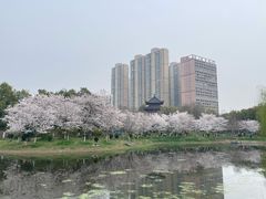 -堤角公园