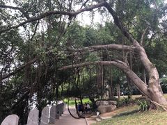 -南宁南湖公园