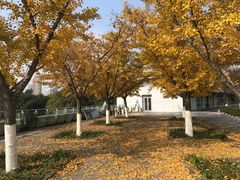 -白塘生态植物园