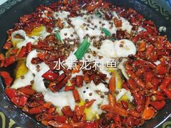 -金三可市井水煮鱼(金碧园店)