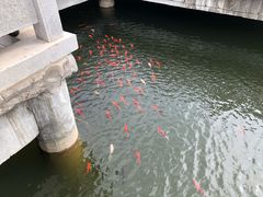 -威海华夏城景区