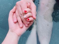 -宁波杭州湾海底温泉