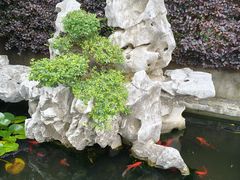 -呼吸森林·生态农庄农家乐私房菜