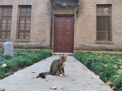 -西安大兴善寺