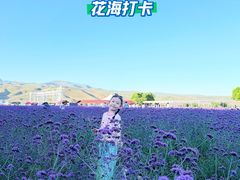 -新疆那拉提国家旅游度假区