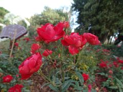 -人民公园(罗湖区)