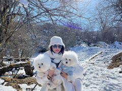 -太子岭滑雪场