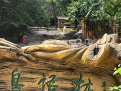 -燕塞湖鸟语林景区