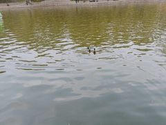 -团结湖公园