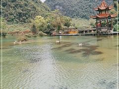 -靖西鹅泉风景区