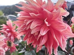 -硗碛藏寨·神木垒景区