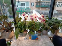 -懒人盐府人家(航天桥店)