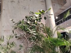 -卡朋西餐(宝安大仟里店)