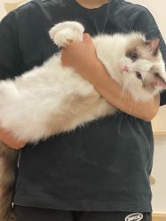 -木马王国(萧山银隆店)