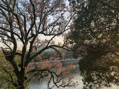 -泰康拜博口腔医院(江北总院)