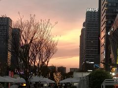 -合景·悠方(成都店)