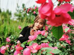 -白鹭湾湿地公园