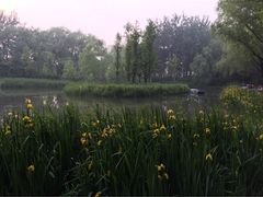 济南森林公园-济南森林公园