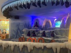 -帝企鹅自助餐厅•儿童岛•真企鹅(长隆企鹅酒店)