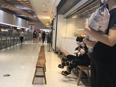 -新太二·鲜料川菜(东汇城店)