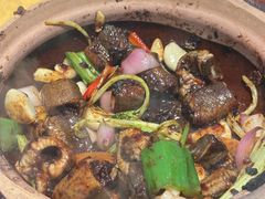 -天宝食坊·啫啫煲大排档(西华路店)