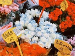 -循礼门鲜花花市(武汉循礼门店)