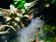 -Together·泰式按摩精油SPA(天山店)