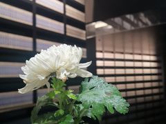 -侵华日军南京大屠杀遇难同胞纪念馆