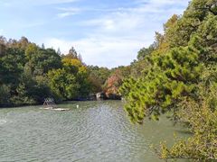 -上海动物园(地铁站)