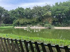 -广州长隆飞鸟乐园