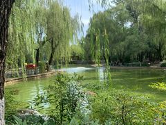 -西安市长乐公园