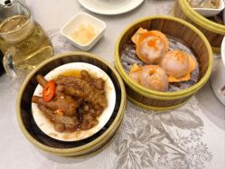 -佛山顺德香云纱园林酒店-宴会厅