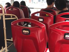 -BUS TOUR观光巴士