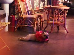-The Tiki Bungalow提基小木屋酒吧