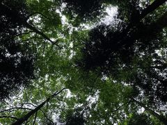 -青城山