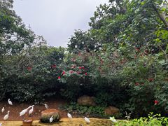 -珠海长隆海洋王国