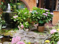 -园林美食城·本土农家菜(杨和镇店)