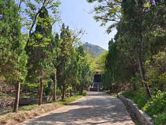 -龙口南山旅游景区