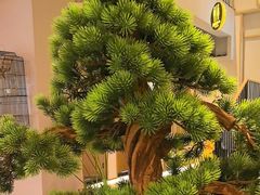 -瓦舍茶馆(聚源路店)