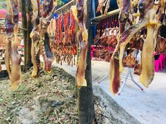 -广州市石门国家森林公园