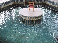 -观唐（国际）度假村温泉