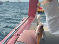 -小猫钓鱼海钓俱乐部(椰梦长廊店)