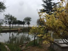 -青岛海泉湾度假区温泉